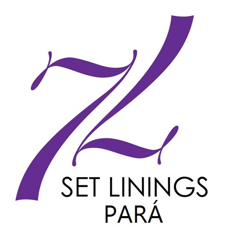 SetLining Logo